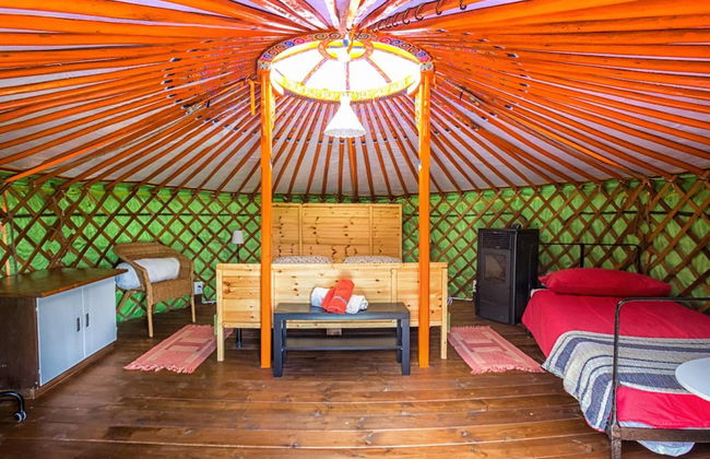 Società Agricola Cacigolara - Foto 11