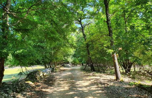 Stone House Rosuja - Foto 55