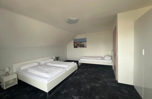 Ferienwohnungen zur Elz - Traumhafte 160 qm Wohnung mit Pool und Garten Nähe des Europaparks - Foto 10