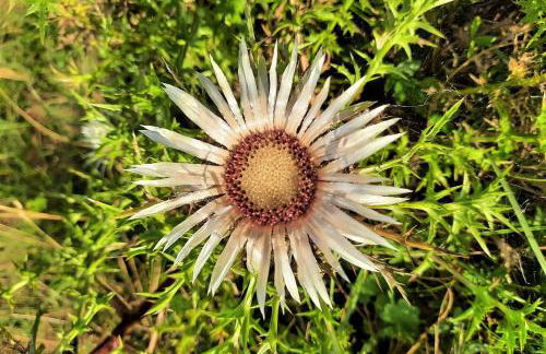 Gästehaus Jäger Ferienwohnungen - Foto 26