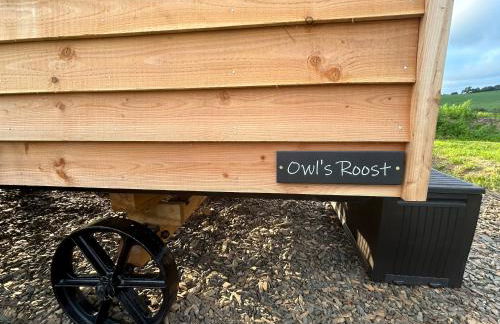 Cosy Owls Roost Hut With Private Hot Tub - Foto 7