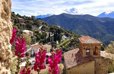 Appartement 2 chambres à Lama avec Piscine - Foto 20