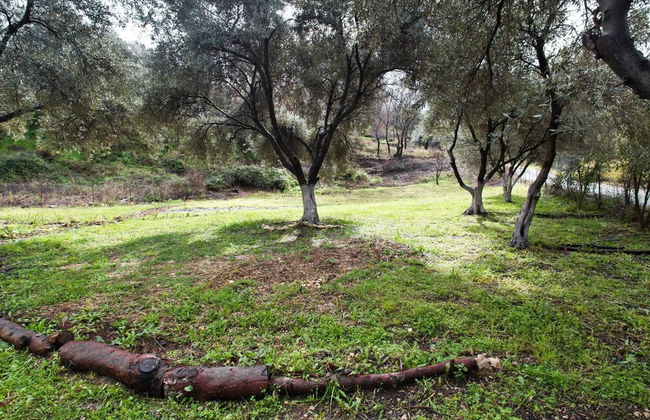 Cute Yellow Handmade House With Garden - Photo 54