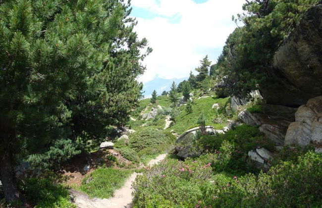 Abendrot 1. OG Süd-West - Foto 11