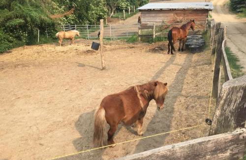 Große Ferienwohnung in Peetzig am See - Foto 70