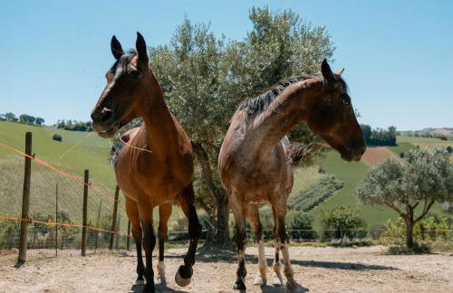 Fattoria Cerqua Rooms and more - Foto 26