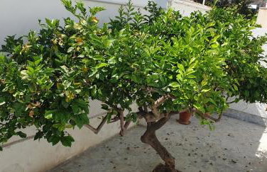 JET, luxury appartment 20m from the beach - Foto 42