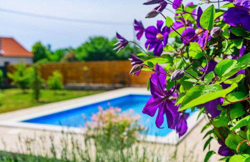 Sunny house - Foto 67