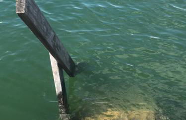 Ferienresidenz Seegarten Andrea - Seezugang und Schwimmbad - Foto 1