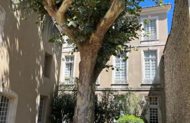 Superbe appartement rénové et cosy à 10mn de Saint-Rémy de Provence - Foto 8