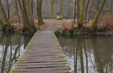 Hof Eckens - Ferienhaushaus Marie in Wildeck Bosserode - Foto 15