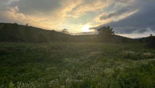 Guesthouse D&D - Foto 3