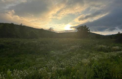 Guesthouse D&D - Foto 3