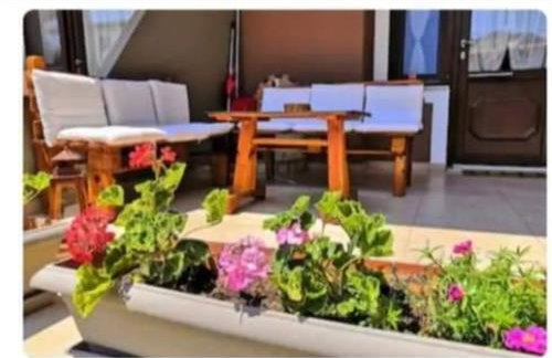 Eleni's house 3 - Photo 10