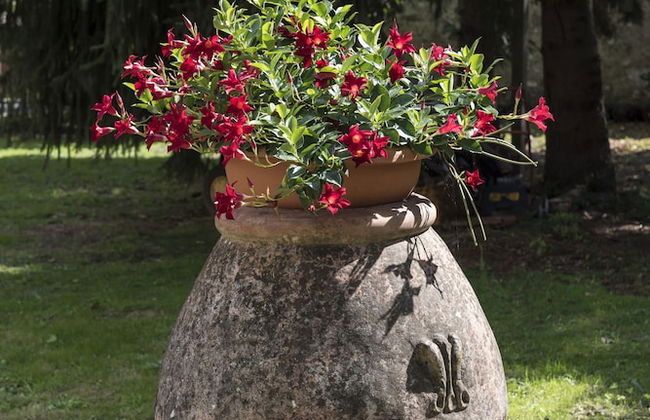 B&B La Chiusa Delle Monache - Foto 38