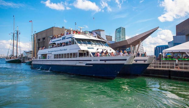 Crucero de avistamiento de ballenas del New England Aquarium - Foto 3