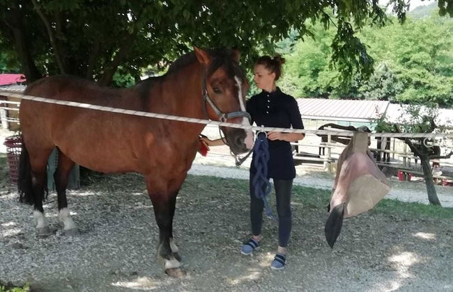 Agriturismo Ai Gradoni - Foto 16