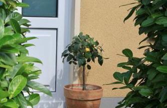 SEEBADHOF - Landhaus Kaiser - Photo 3