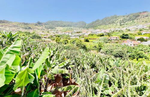 Casa das Amoreiras by YMR - Foto 14