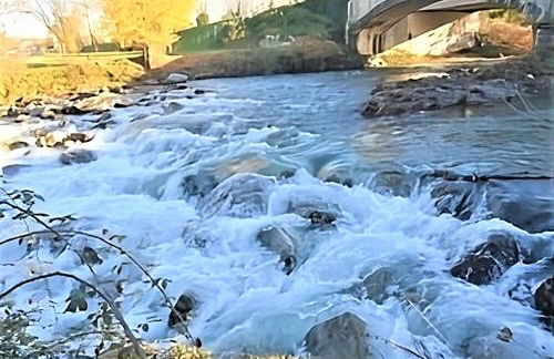 Tarbes Immeuble résidentiel labelisé et classé Proche des Halles Marcadieu et Brauhauban et du Parc des expositions - Appartements Appaloosa T2 Rdc et Pyrénéa T2 au 1er étage avec terrasse couverte -Parking gratuit- - Photo 15
