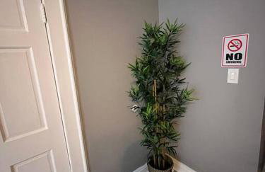 4 Bedroom Apartment - Foto 4