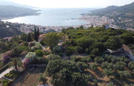 Anemomilos - Photo 20