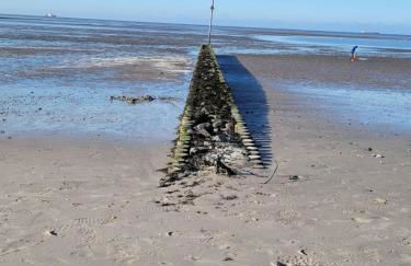 Strandkajüte Hooksiel - Foto 15