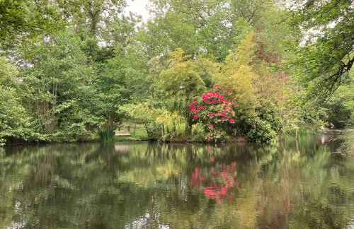 Gîtes du Semeno - Foto 21