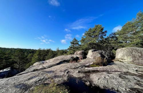 Le repaire de Barbizon - Foto 15