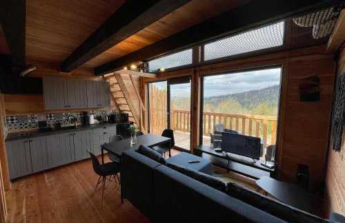 Modrzewiowe Domki w Koszarawie - Foto 5