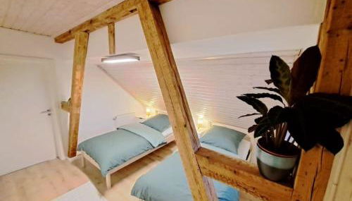 FeWo Ellerholz am Müritz Nationalpark - Foto 4