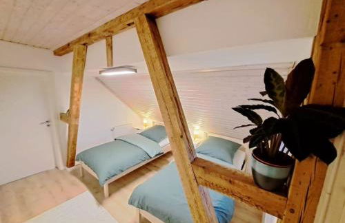 FeWo Ellerholz am Müritz Nationalpark - Foto 4