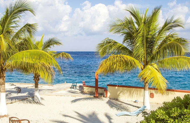 Cozumel Day Trip - Photo 7