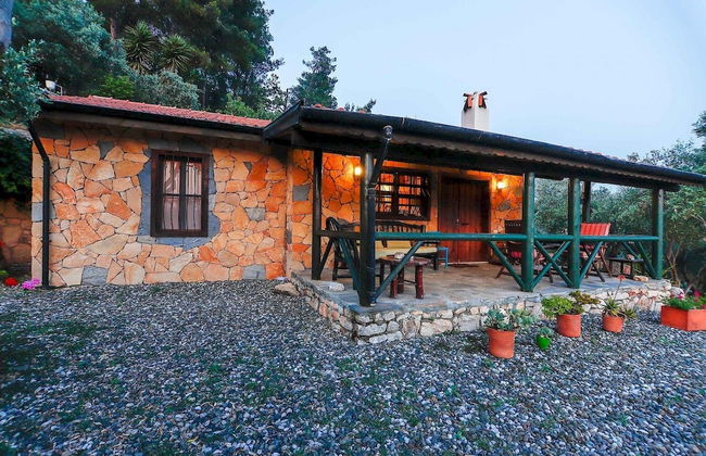 Terra Punto - Photo 9