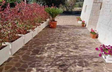 Trullo in vigna - Foto 30