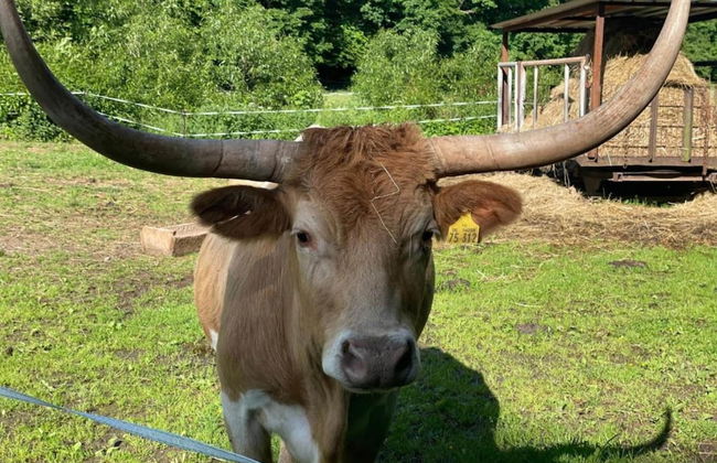 Comfort & Nature in Dankerode - Foto 28