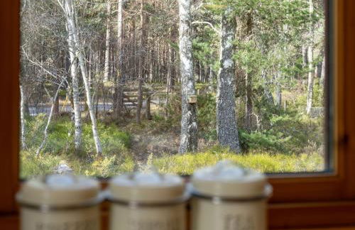 Villa Osprey House by Interhome - Foto 27