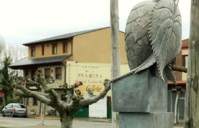 La Casa de la Pradera - Foto 14