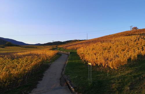 L'Altenberg - Foto 42