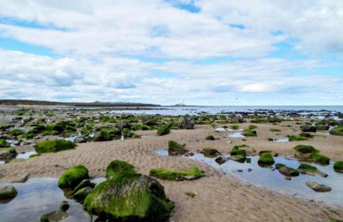 SummerBreeze Retreat - Foto 23