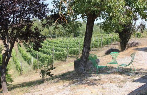 Agriturismo Villa Cheti - Foto 21