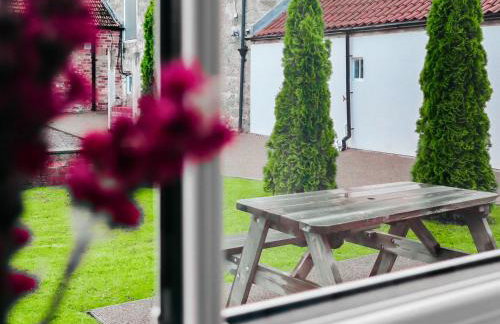 Chestnut - Ids - Foto 12