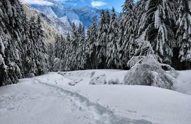 Casa Paradiso - Foto 27