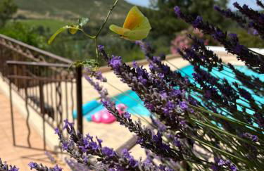 Villa BELVENTO, superbe villa au calme, piscine, vue incroyable ! - Photo 10