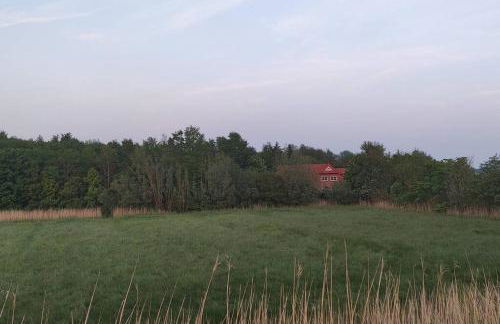 Ferienwohnung Altneukoog - Foto 4