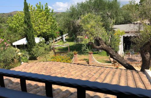 Residence e B&B Villamirella - Foto 36