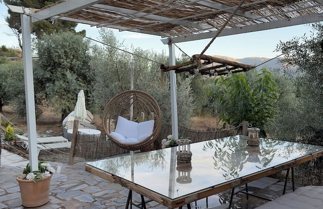 Finca Las Fuentezuelas - Photo 45