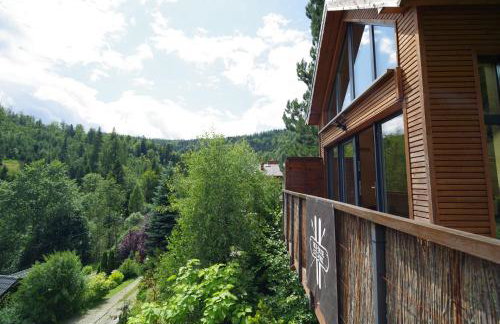 Ski House Szczyrk - Domek Na Kurzej Łapce - Foto 18