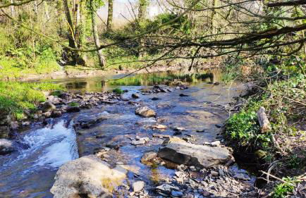 The Annex Roundaway Lodge - Foto 16