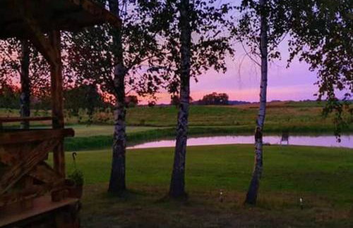 Brzozowa Polana - Foto 56